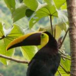 OceanRanchPark Gallery 108 1080x675 1 150x150