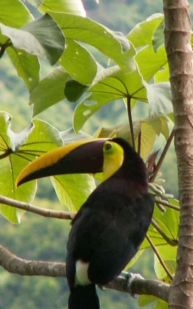 OceanRanchPark Gallery 108 1080x675 1 640x1024