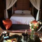 35264585 1999727590045662 1499374169660325888 n 150x150