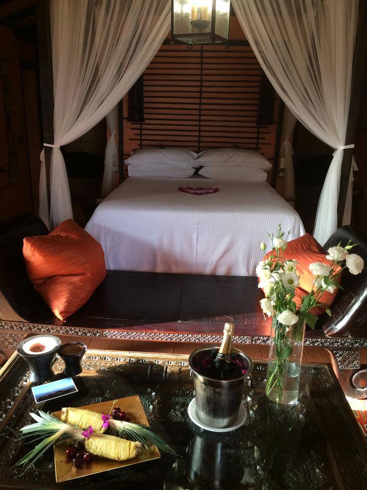 35264585 1999727590045662 1499374169660325888 n