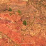 46329266 217923632288713 1032426570779721728 o 150x150