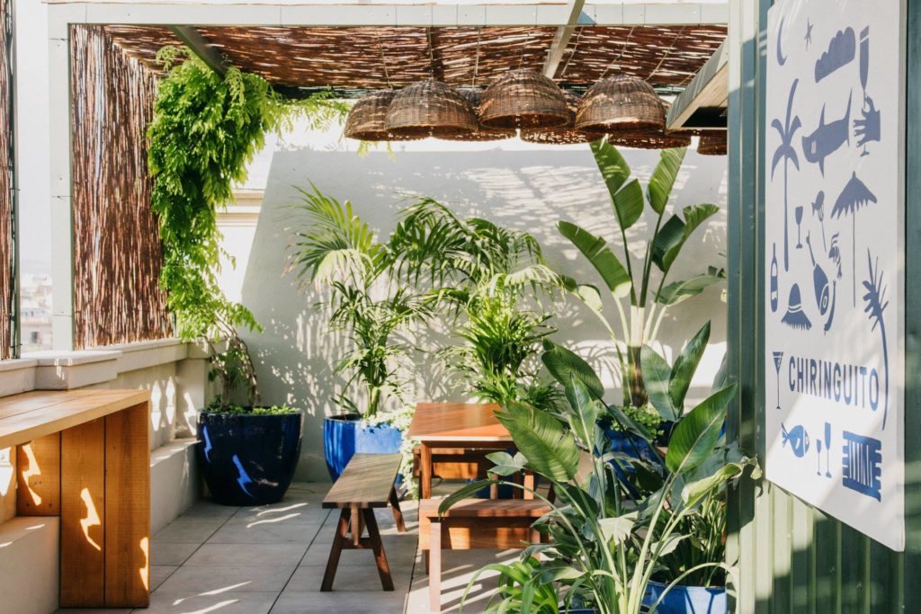 57076227 1247747718712674 2733478476081266688 o 1024x683