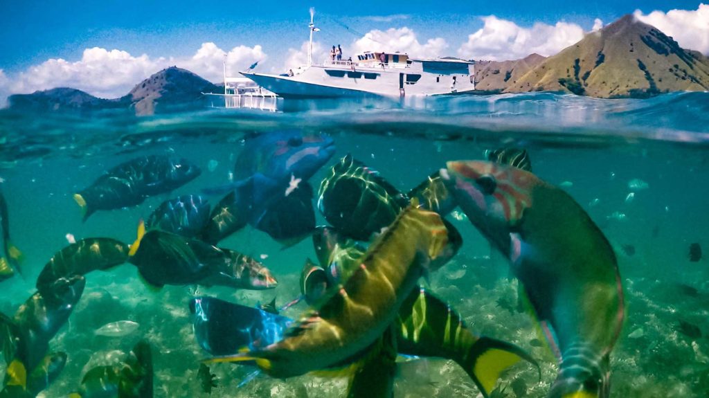 Positive Travel Host Wanua Adventures10 1024x575