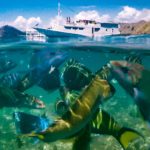 Positive Travel Host Wanua Adventures10 150x150