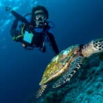 Positive Travel Scuba Evolution 2 150x150