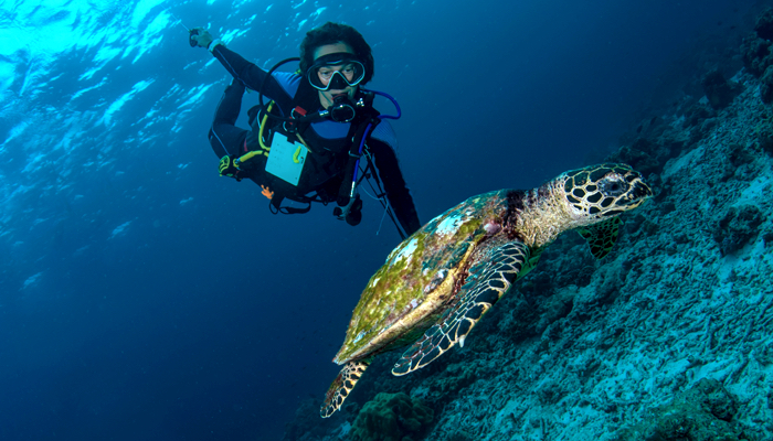 Positive Travel Scuba Evolution 2