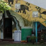 positive travel host Plantation Surf7 150x150