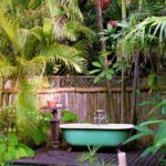 positive travel host VaayuWatermansVillage22 150x150