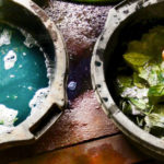 positive travel host treads of life11 150x150