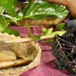 positive travel host treads of life12 150x150