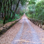 riserva tirone parco nazionale del vesuvio scheda 150x150