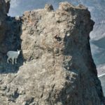 tbl8 592x370 150x150