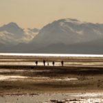 tutkabay1 592x370 150x150