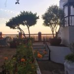 15350637 1461193243908996 7528225568116905858 n 150x150