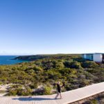 1537956 10152519081559439 4254763456226532634 o 150x150