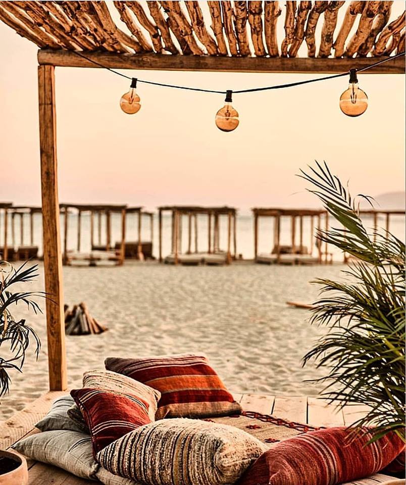 41457256 572007396552145 8354683320344248320 n