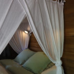 4452232811868174677 IMG 3119 150x150