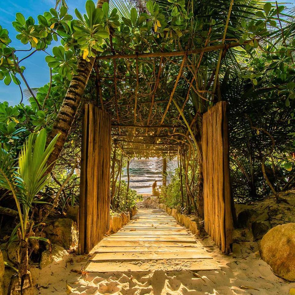 49189263 10157150544059258 6887056677057593344 n