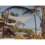 60006306 542295722841738 8970546729686401024 n 150x150