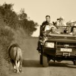 1506040 808756275850725 98990608924468967 n 150x150