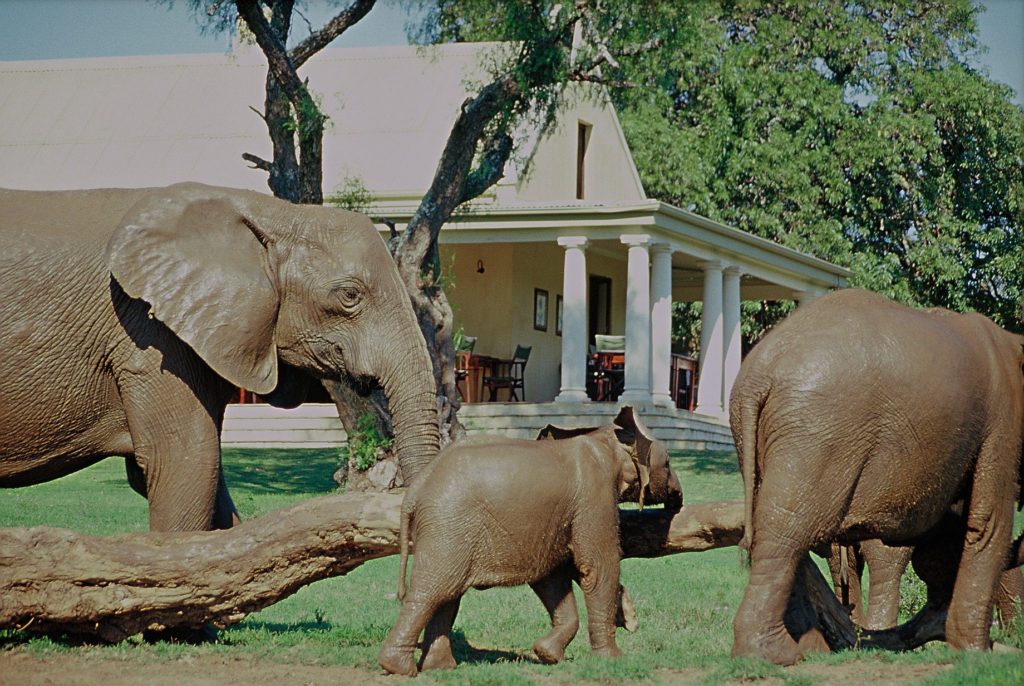 1795191 761453513914335 652860881329140332 o 1024x686