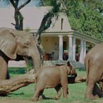 1795191 761453513914335 652860881329140332 o 150x150