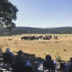 31946006 1787785217947821 6188234690197979136 n 150x150