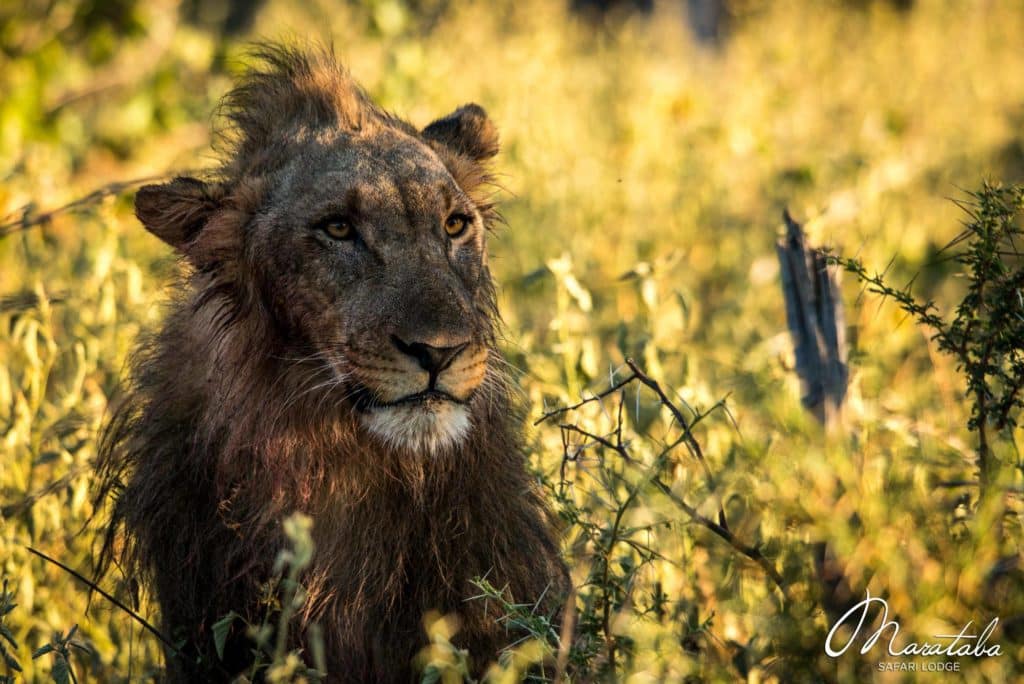 60709439 2462971350421141 7782116711808892928 o 1024x684