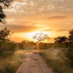 61759574 2583876464980559 1985393884351430656 o 150x150