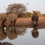 62338091 2603783109656561 2695418357099790336 o 150x150