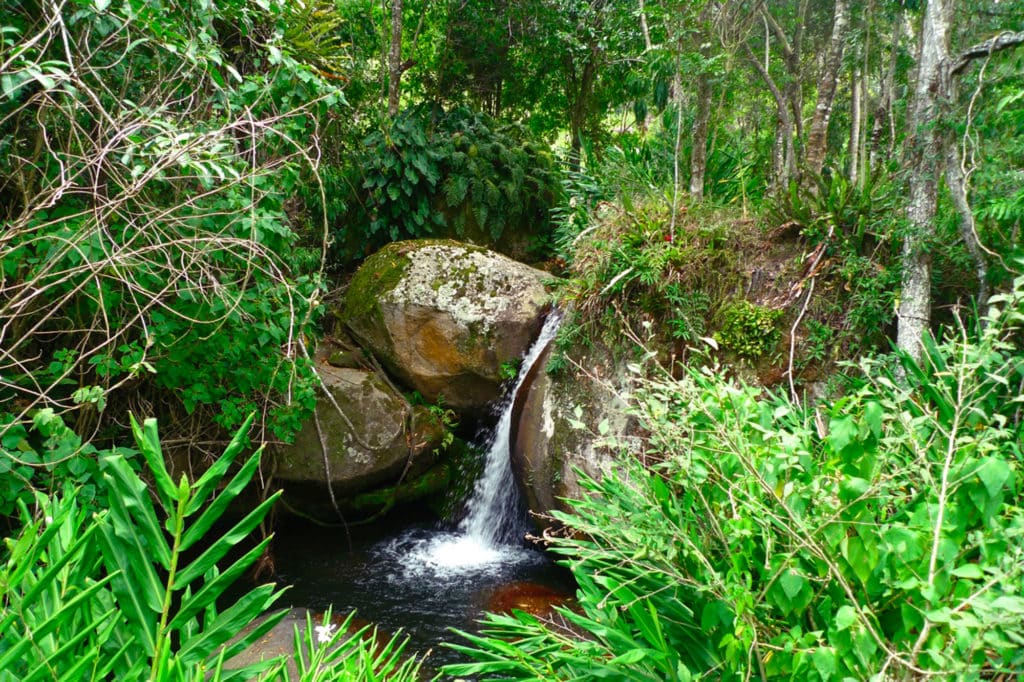 fazenda catucaba atividades caminhadas cachoeira 1024x682