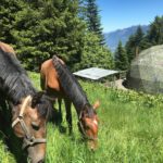 13502830 10153491508926783 6306257179174788519 o 1 150x150