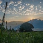 30729190 10155185643881783 7219138222624866304 o 150x150