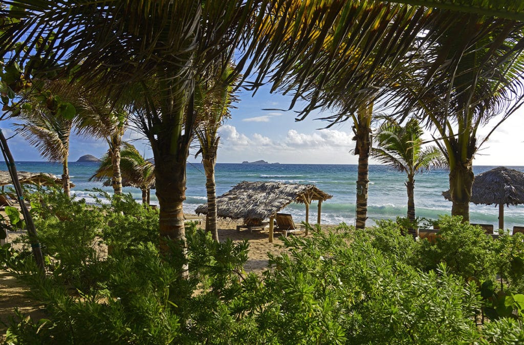 positive host manapany 1024x673