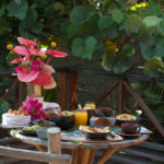 positive host manapany 1 150x150