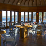 positive host manapany 8 150x150