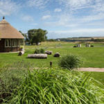 positive host thePig10 150x150