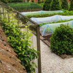 positive host thePig11 150x150