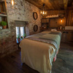 positive host thePig3 150x150