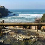 positive host theScarlet 3 1.jpg 1 150x150