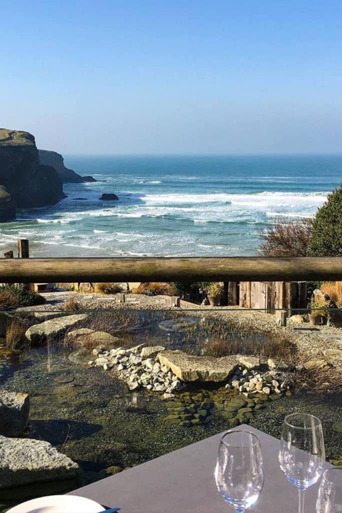 positive host theScarlet 3 1.jpg 1 683x1024