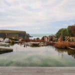 positive host theScarlet 4 1.jpg 1 150x150