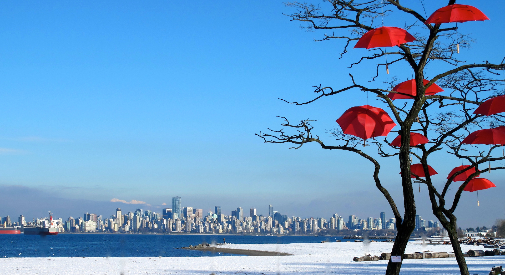 SASHA MANDE vancouver in the snow t20 g1zo9x