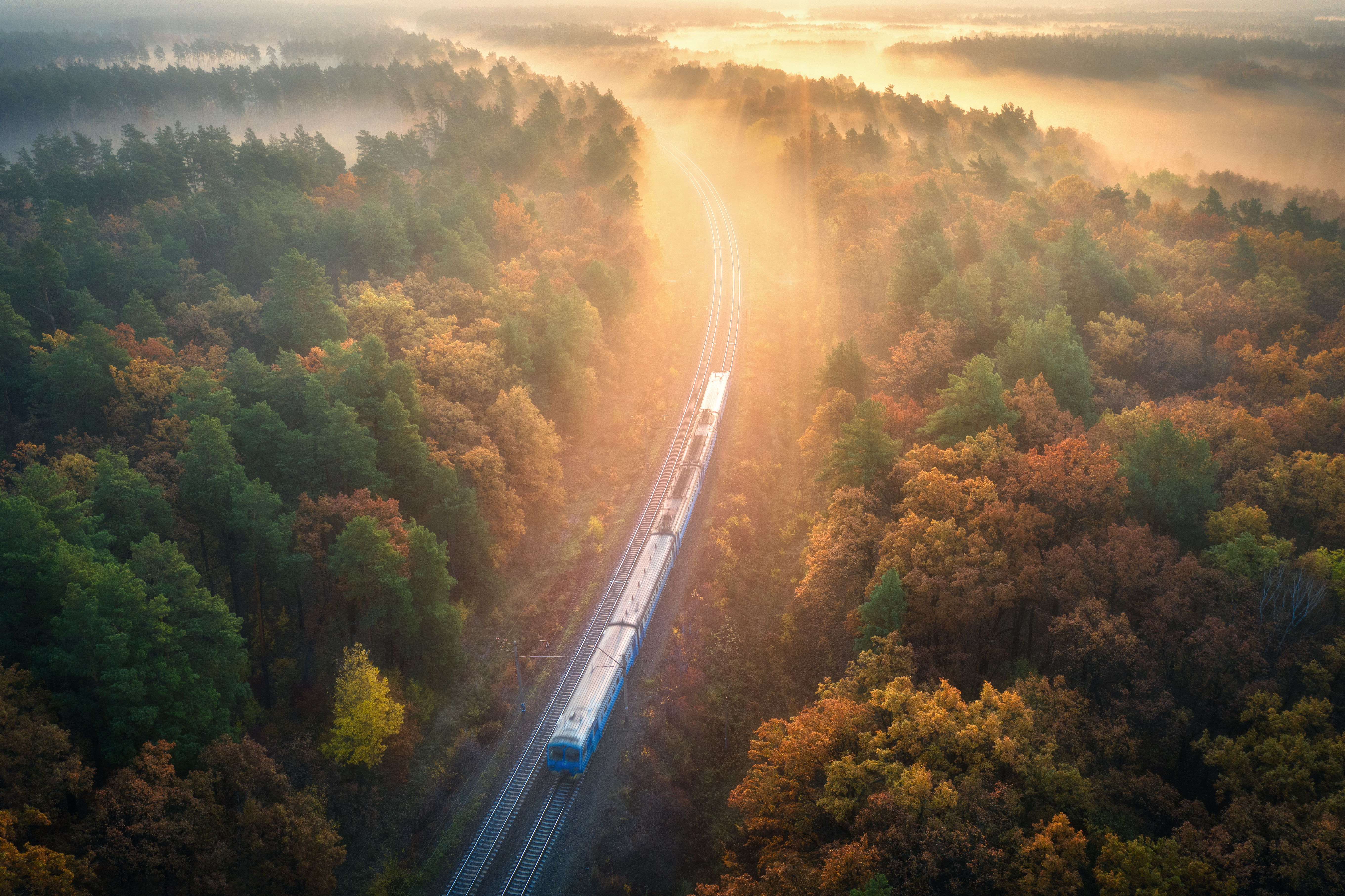 train in colorful forest in fog at sunrise in CUC9KM8