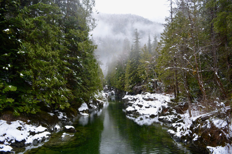 Clayoquot Sound, near Tofino. It depicts a slow-moving glacial creek deep in the midst of an old growth forest.