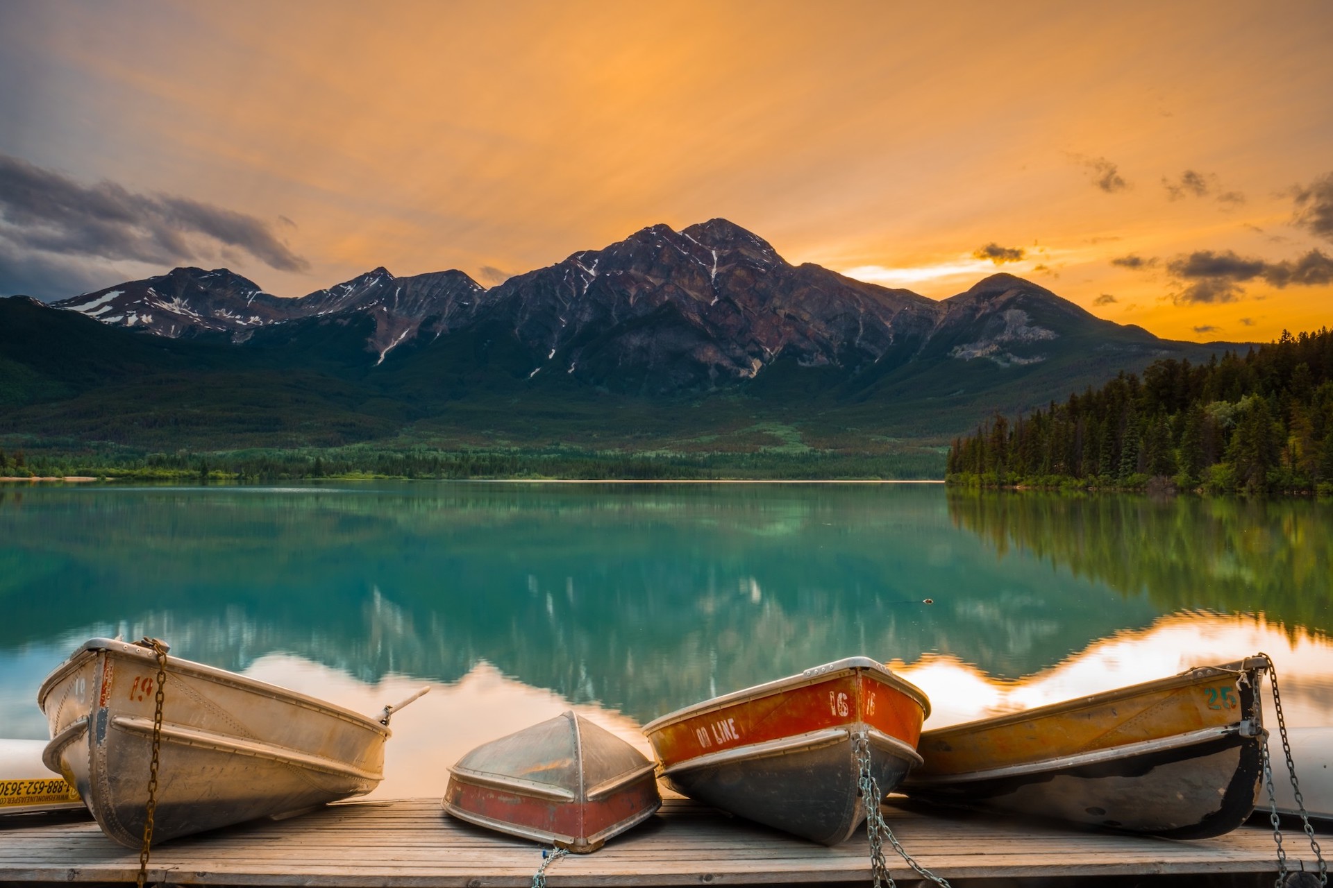 DIMITRI LOUWET canada t20 7mVwB6