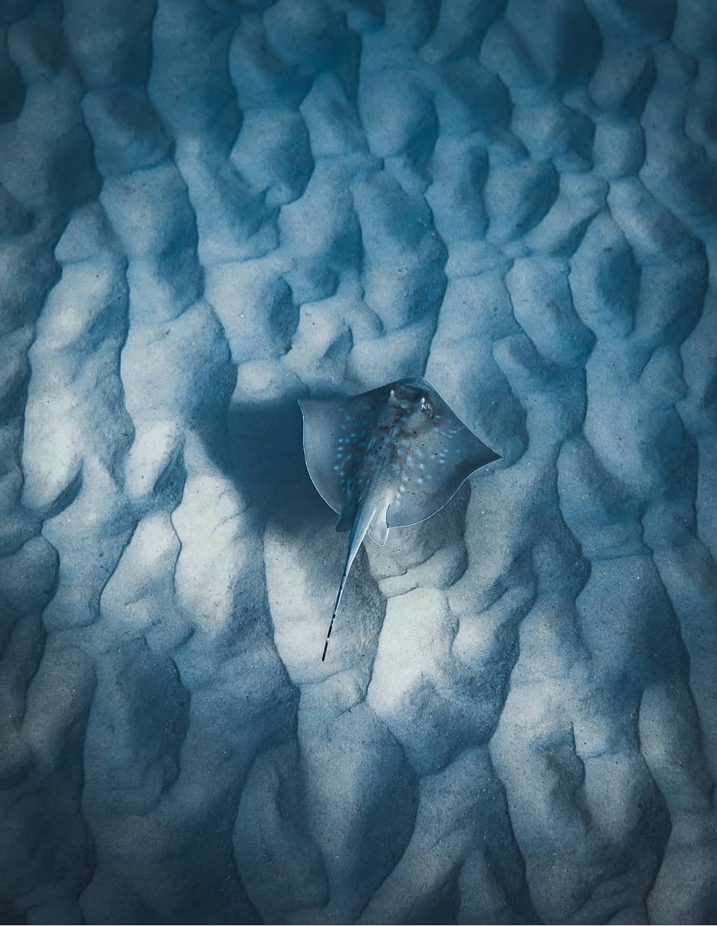 Screenshot_20200601-214924_Instagram