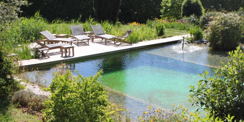 positive_host_OrionBB13