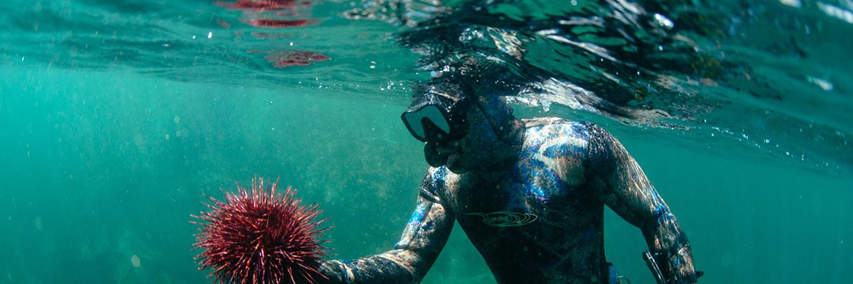 positive_host_nimmoBay3