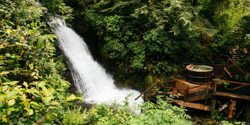 positive_host_nimmoBay6